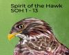 Sprit of the Hawk