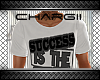 Successful Revenge Top
