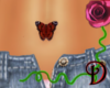 [D] Belly Butterfly