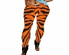 sexy tiger pant