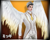 ! Angel Feathered Wings