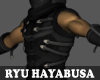 Ryu Hayabusa Body