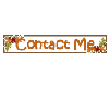 Contact Me-Thanksgiving