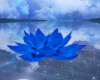 Blue Feather Lotus