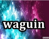💎SnapBack waguin