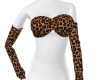 Cheetah Gal