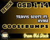 Goosebumps | RMX