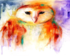 Colourful owl picture 