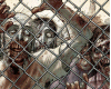 Zombies at the fence
