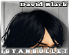 [ist] David Black Hair