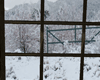 window to winter