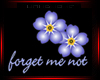 FORGET ME  NOT W/FLOWERS