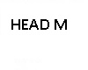 # Nice Men's Head Real