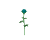 A-Long-Stemmed-Rose-TURQ
