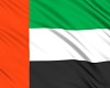 UAE Triggered Flag
