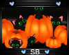 *SB* Cats N' Pumpkins