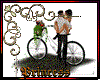Garden bicycle  kiss