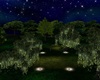 ale -JARDIN NOCTURNO