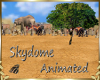 Skydome Africa