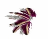 feather jewlry