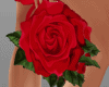 Rose Bag