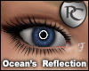 Ocean's Reflection