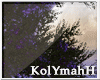 KYH|  the mountain love