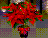 Christmas Poinsettia2