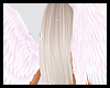 P. Angel Wings