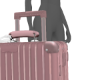 z|p RIMOWA Pink