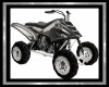 Silver Quad