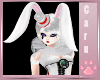 *C* White Rabbit Bundle