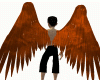 Angel Orange Wings M/F