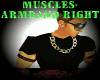 [RC]MUSCLES-ARMBAND [R]