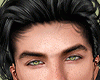 Realistic Handsome Head