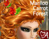 .a Marilou Carrot Forest