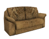 Moldy Sofa