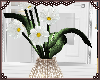 Flower Vase Decor 