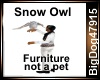 [BD] Snow Owl