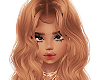 ʟ. sylvia ginger