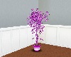 Purple Pleasure Plant