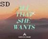 All That She Wants SD*