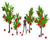 Miniture Fruit Trees V2
