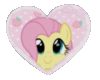 fluttershy is best pony