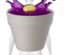 𝓒𝓒. Lean