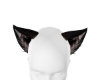 Black Kitty Ears