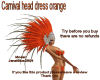 Carnival head dress 