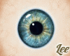 Wes's Eyes