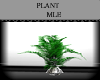 *Mle*Modern Plant