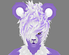 Share Bear Furry M